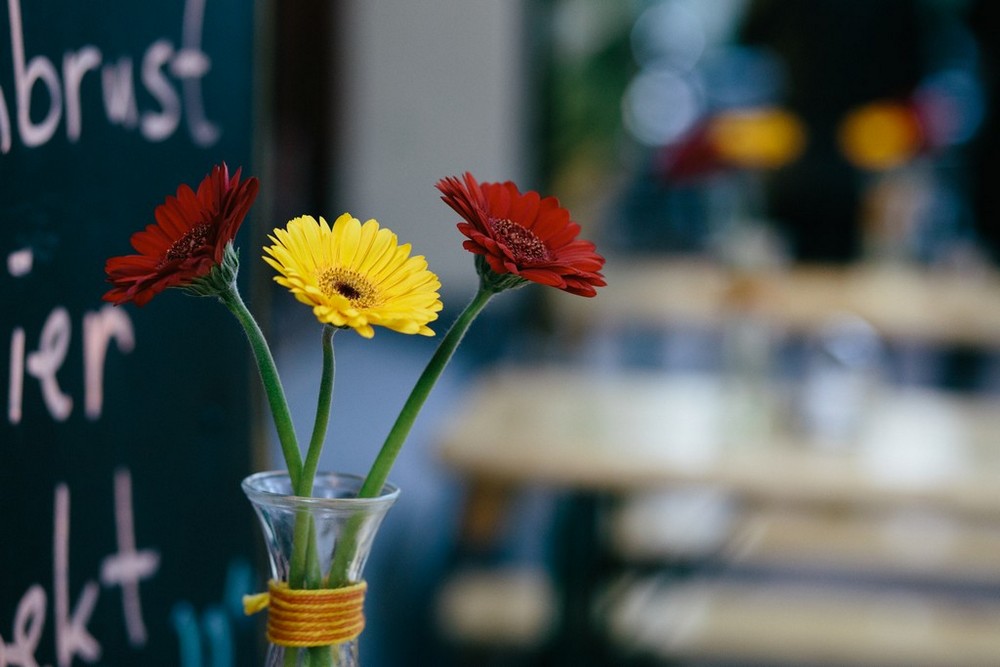 Fotograf Best Friends Shooting in der Schanze: Ann-Cathrin und Prema
